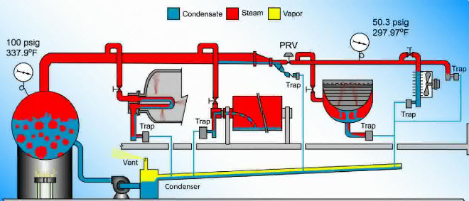 Steam and Condensate