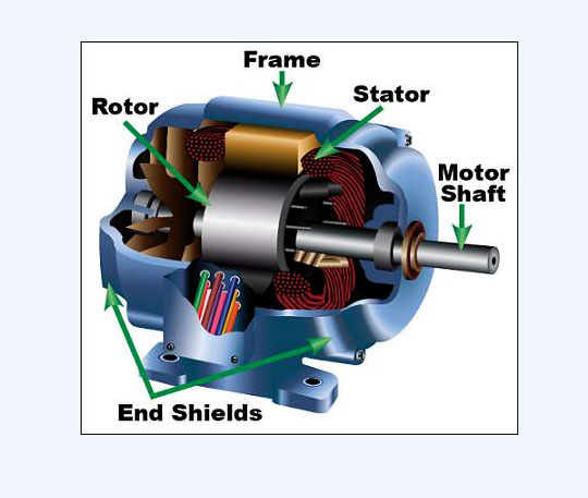 Three phase squirrel cage induction motor