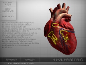 3D Heart Demo