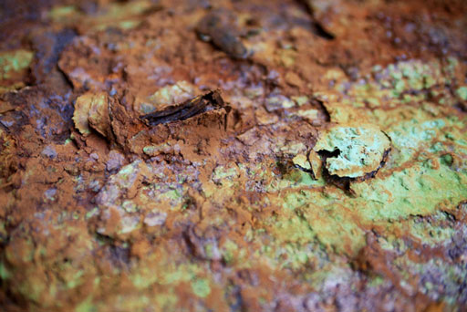 Preservation Rust